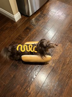 Daschund Halloween Hot Dog Costume