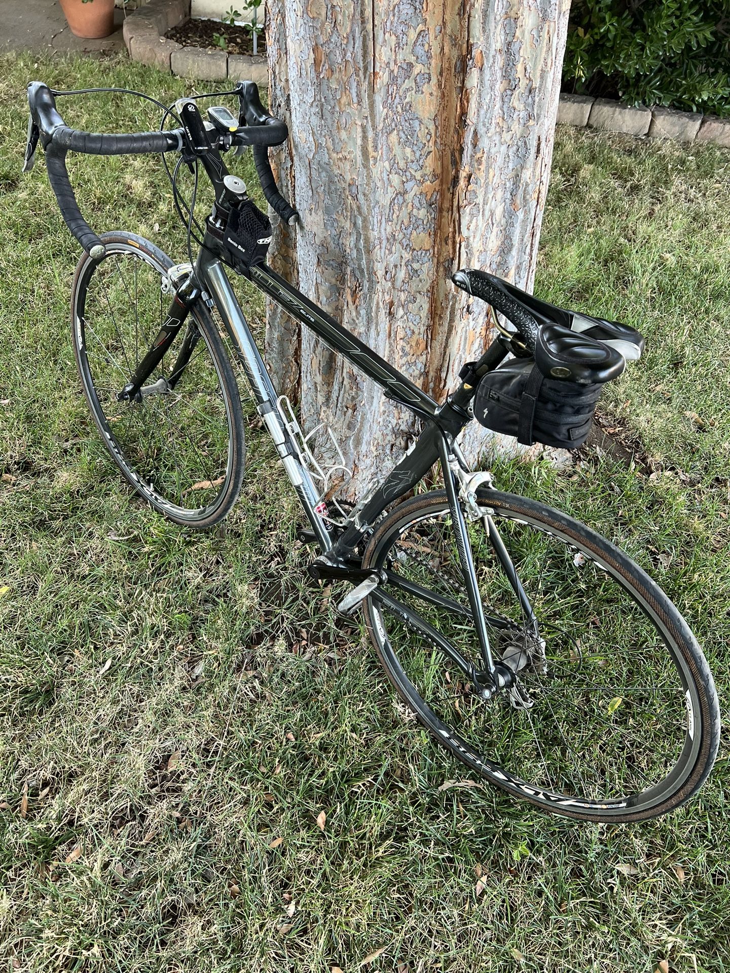 Specialized Road Bike Adult 