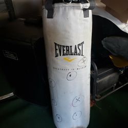 Hanging Punching Bag $20