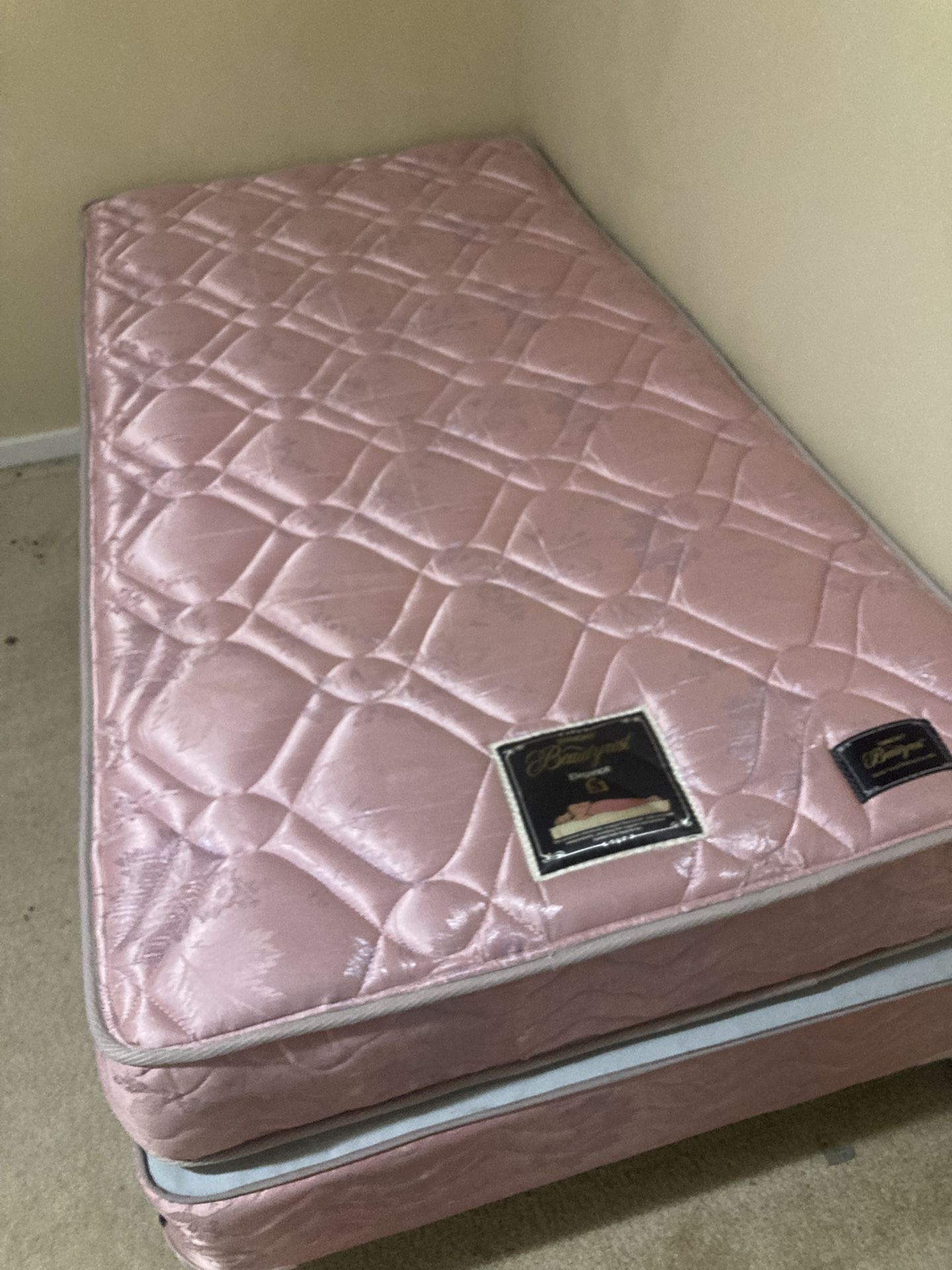 Twin Bed With Box Spring Mattress And Frame