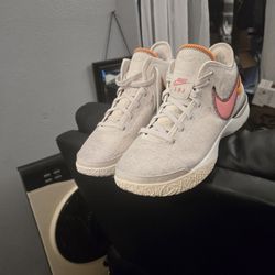 Nike Size 11 LBJ