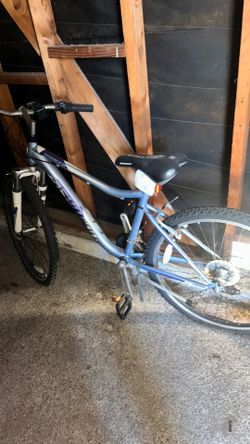 Schwinn bike