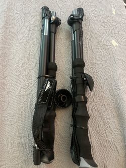 Hiking sticks