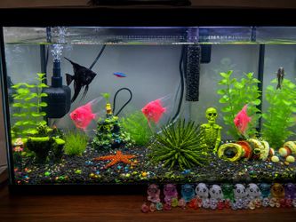 Fish tank for sell