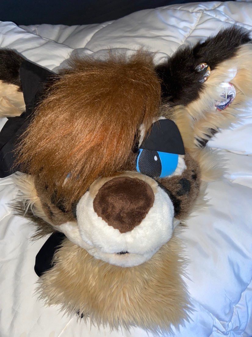 ON HOLD Fursuit For Sale Serval Cat