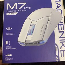 Wireless Mouse 