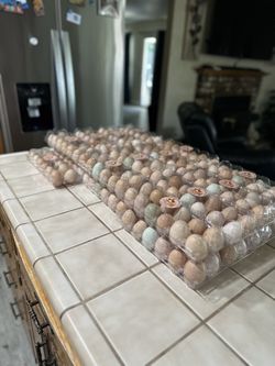Farm Fresh Eggs