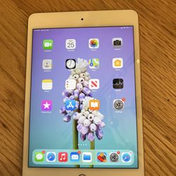 iPad Mini 5th Generation 256 Gb Wifi And Cellular Data Like New . Pink . Two Free Cases 