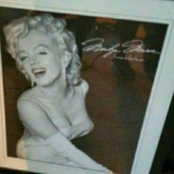 Marilyn Monroe Photos  Each Priced Differently 