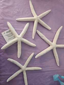 Decorative star fish
