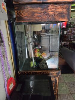 Custom Salt water tank & accessories