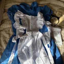 Alice In The Wonderland Halloween Costume 