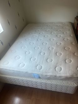 Youth Full Size Organic Mattress by Little Lamb Mattress