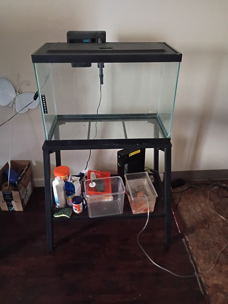 Pecera 10 Galones Con Accesorios FishTank