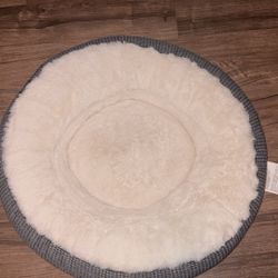 Pet Bed 