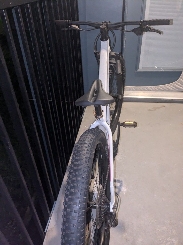 Mountain Bike I'm
