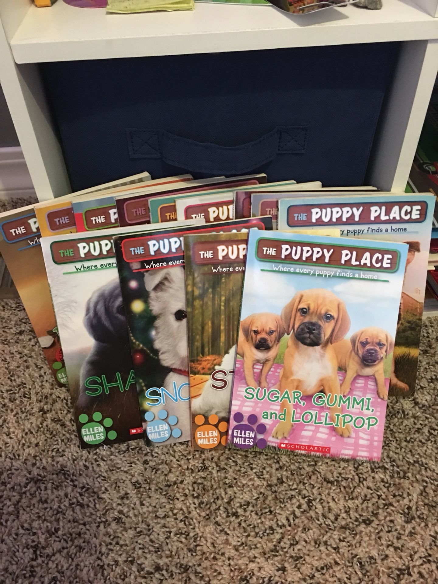 Puppy Place Books