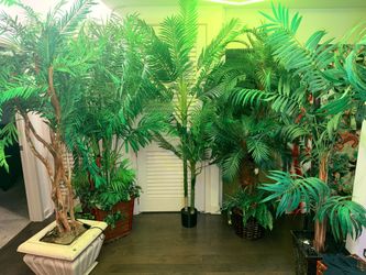 Beautiful array of fake tropical trees