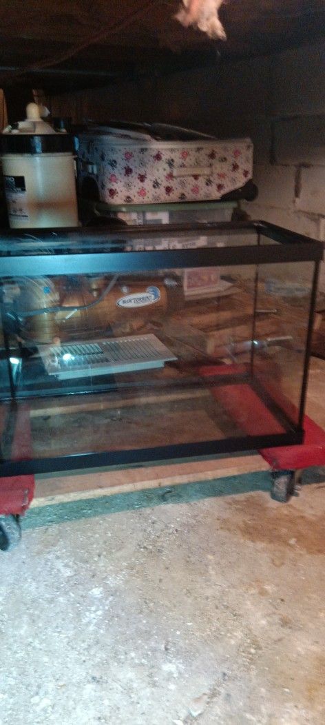 2-20 Gallon Fish Tanks 1-10 Gallon Fish Tank And One Smaller  Fish Tank