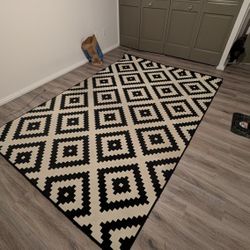 Large Area Rug - $100