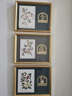 Anne Worsham Richardson Frames With Ornaments
