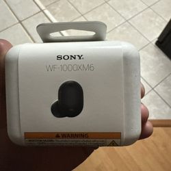 Sony WF-1000XM6