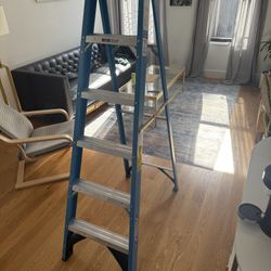 6’ Werner Ladder