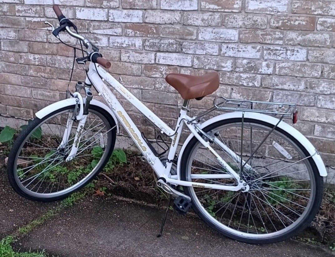 Women's/Girls Hybrid 21 Speed Bicycle