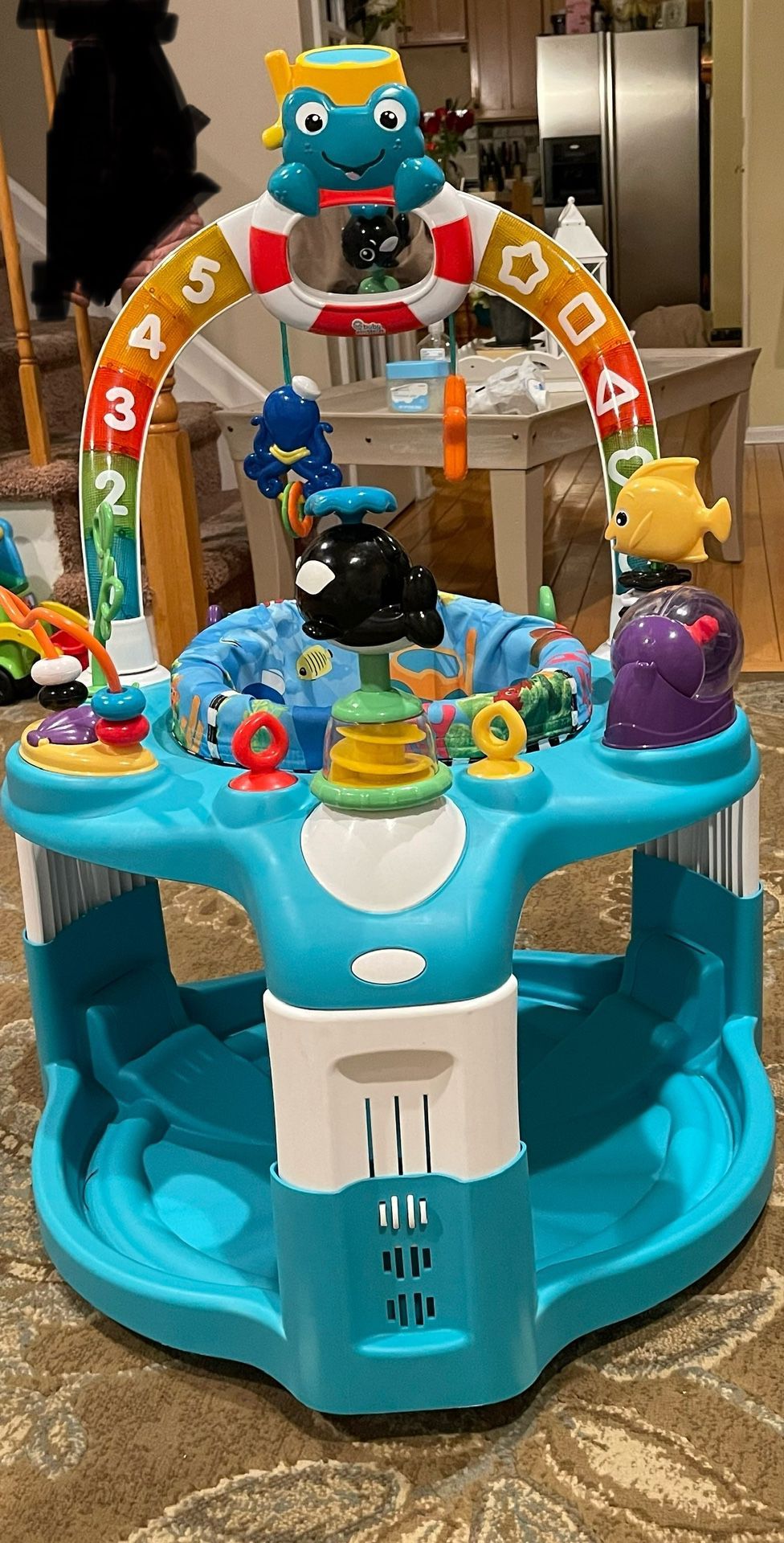 Baby Einstein jumper