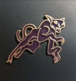 Harry Potter Fantastic Beasts Matagot Pin Wizarding World Loot Crate