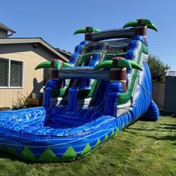 WATERSLIDE FOR SALE 