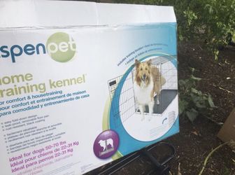Dog kennel