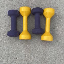 5lb Weights : Handheld Weights Dumbbell