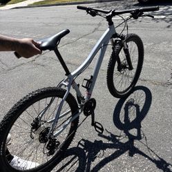 DRT 1.1 Mountain Bike