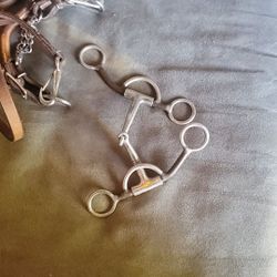 Bridle, Reigns, And 2 Bits