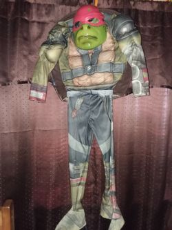 Disfraz tortuga ninja Rafael 4-6 small