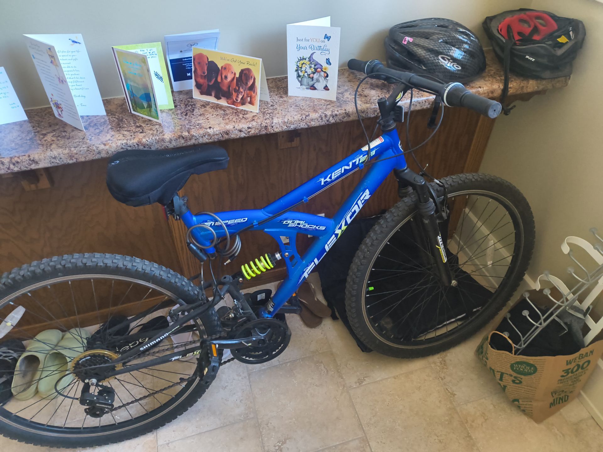 Mountain Bike
