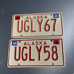 Vintage Custom Alaska License Plates