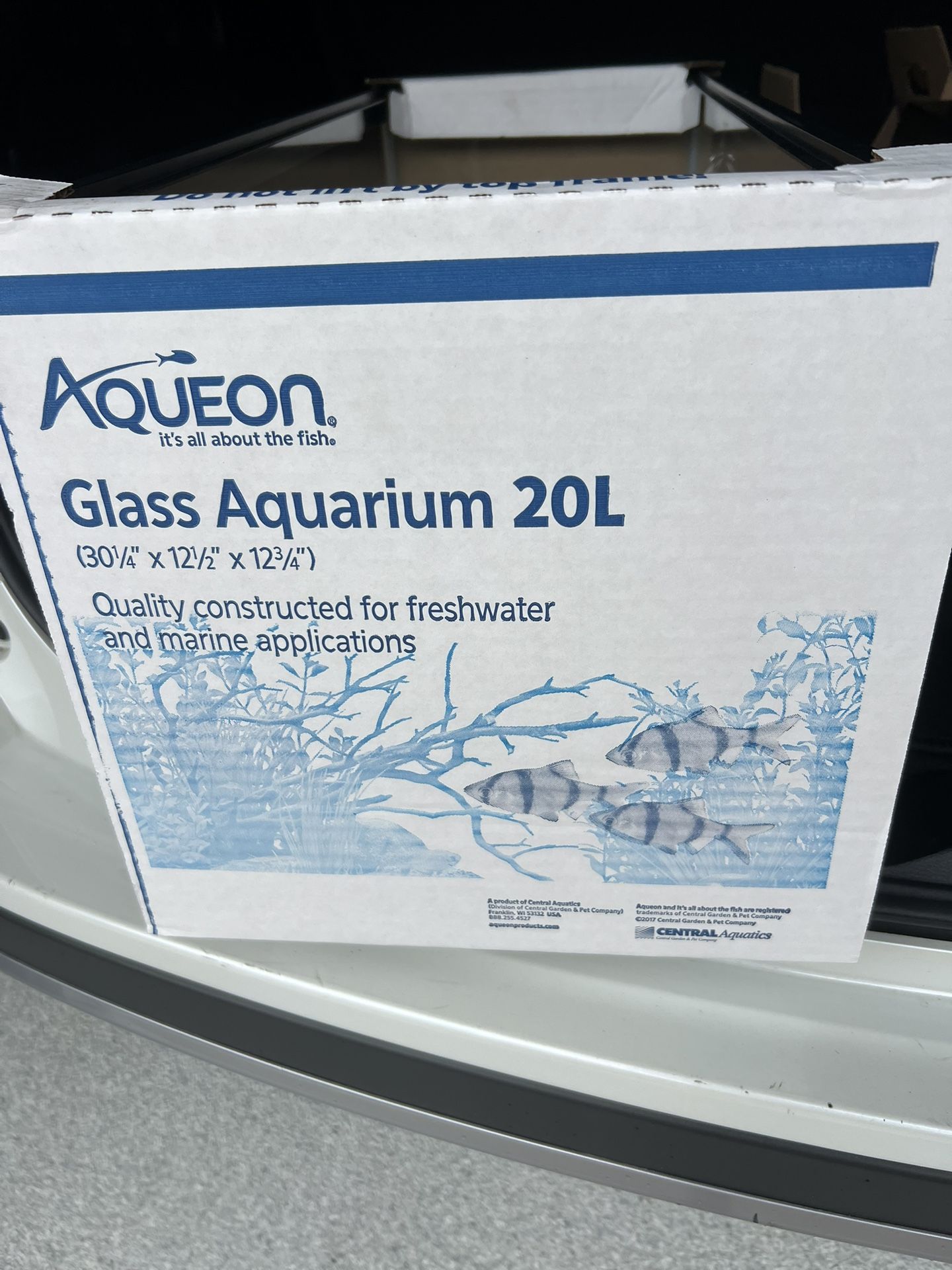 20 gallon Aquarium 