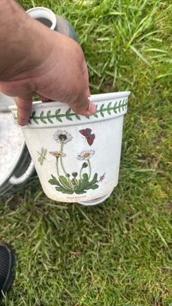Flower Vase 🏺 Misc
