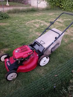 lawn mower with bag