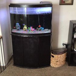 33 Gallon Fish Tank Fish And Filter Included. 