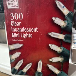 Led Lights Christmas 