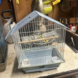 Bird Cage