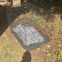 MED DOG SIZED KENNEL 