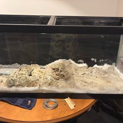 Fish tank