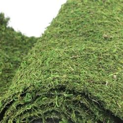 STILL IN PACKAGING | 14" x 48" Roll of Natural Moss