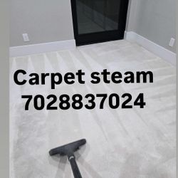 Couches Carpet Steam