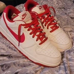 Size 11 Nike Dunks 