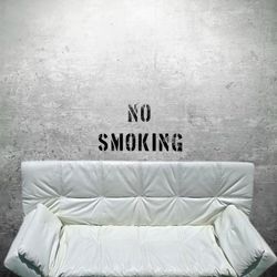 Sleeper Sofa